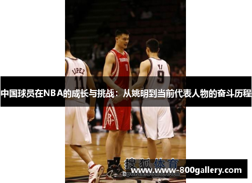 中国球员在NBA的成长与挑战：从姚明到当前代表人物的奋斗历程